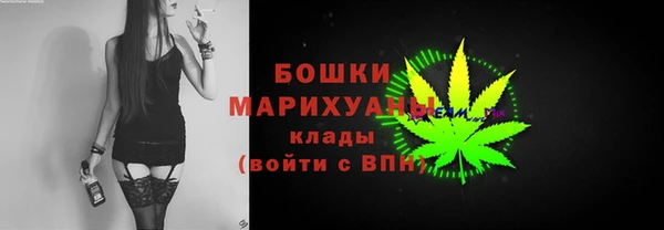 индика Володарск